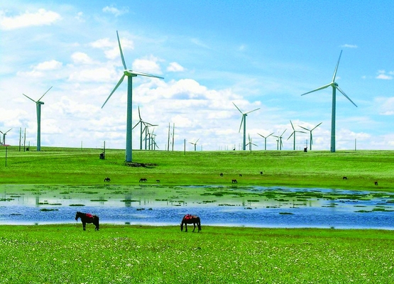 Offshore Wind Power Tower Fabaricated Based On Requirement
